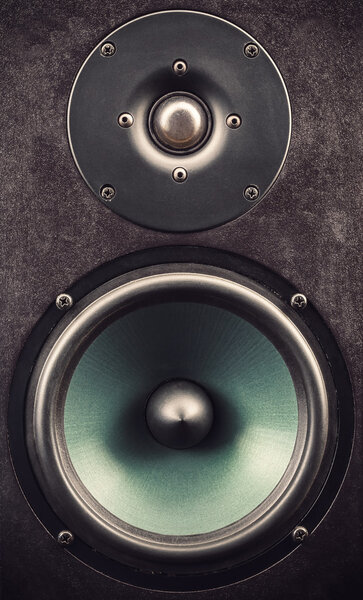 Details of a black speaker, view on tweeter and woofer.