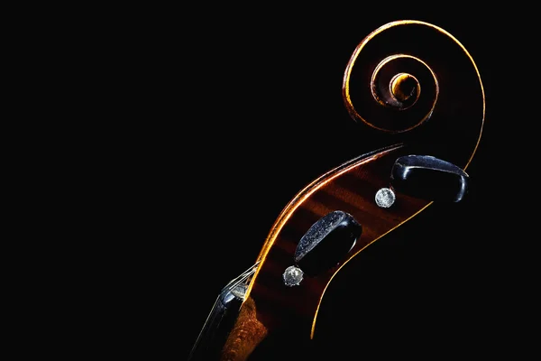 바이올린 머리 세부 정보 — 스톡 사진