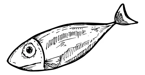 Schetsmatig rauwe vis — Stockvector