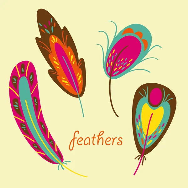 Set of colorful feathers — Stock Vector