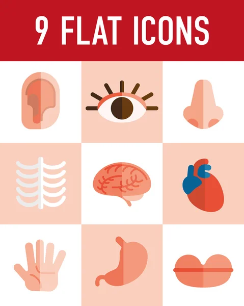 Human organs icons set — Stock Vector