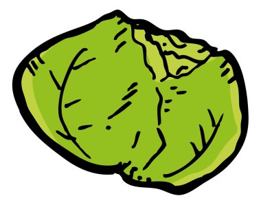 Doodle tarzı lahana