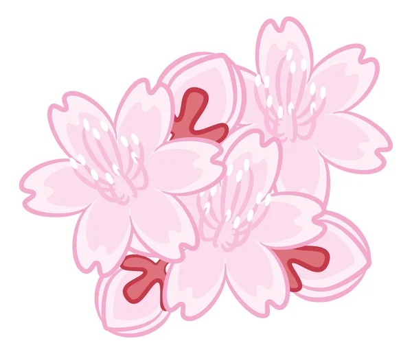 Sakura virág mintával — Stock Vector