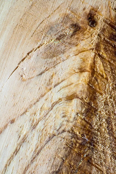 Wood background — Stock Photo, Image