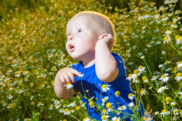 Niño en un prado Imagen de stock