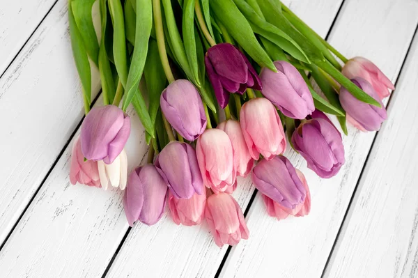 Multicolored tulips background — Stock Photo, Image