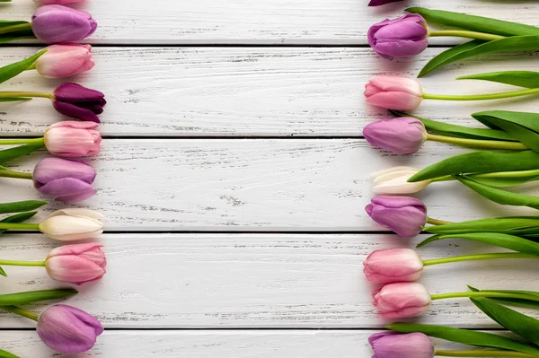 Bunte Tulpen Hintergrund — Stockfoto