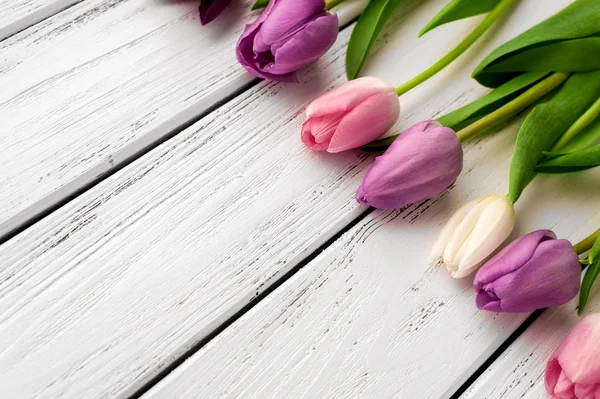 Veelkleurige tulpen achtergrond — Stockfoto