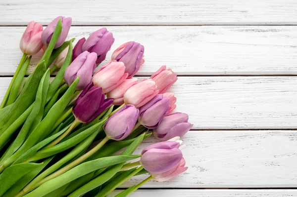 Çok renkli Lale arka plan