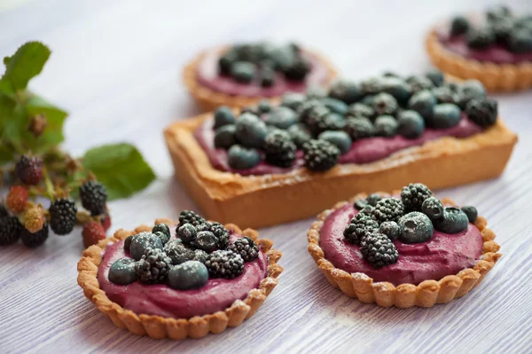 Tarte delicioase de fructe de padure — Fotografie, imagine de stoc