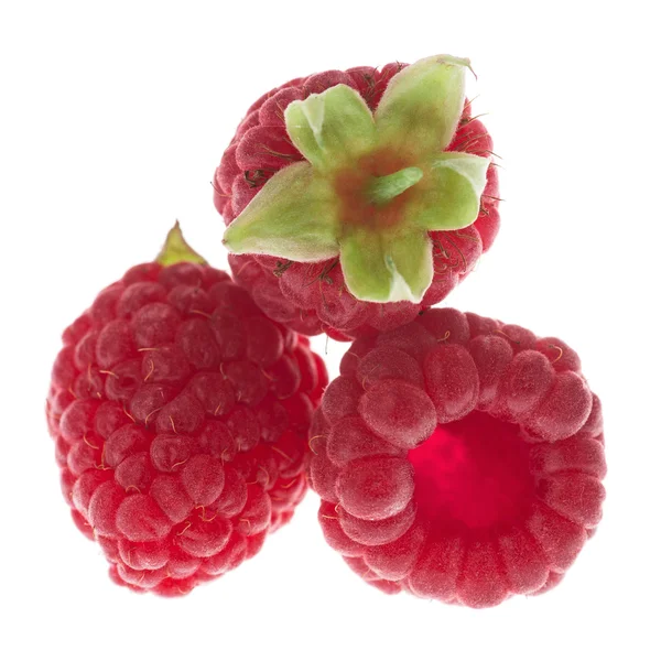 Three raspberry isolated — Stock Photo, Image