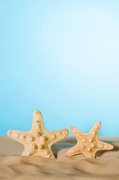 Starfishes i sand — Stockfoto