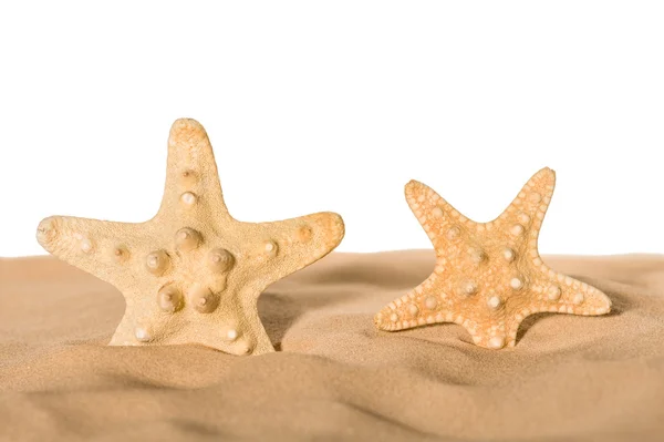 Starfishes i sand — Stockfoto