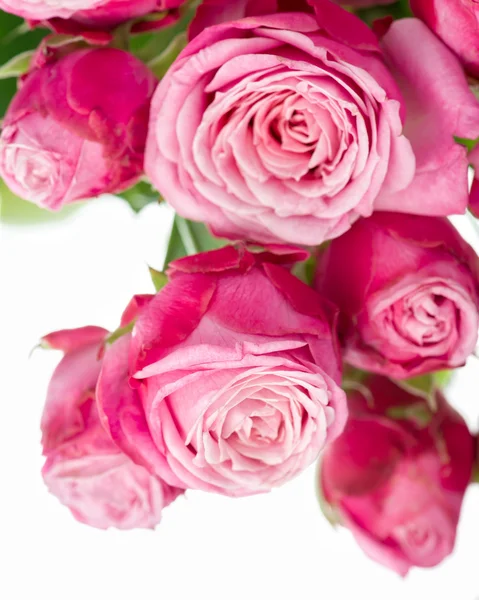 Ροζ τριαντάφυλλα σε μπουκέτο — Φωτογραφία Αρχείου