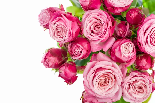 Bouquet di rose rosa — Foto Stock