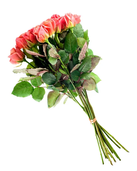 Pink roses bouquet — Stock Photo, Image