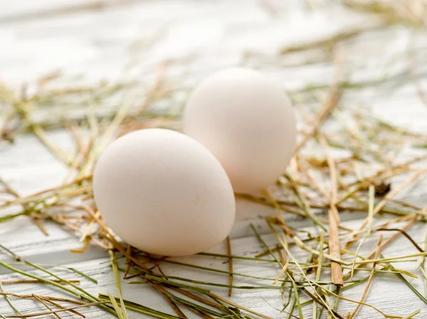 Fresh organic egg — Stock Photo, Image