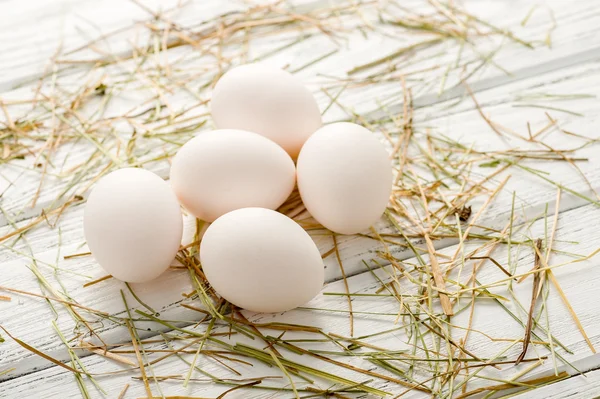 Fresh organic egg — Stock Photo, Image