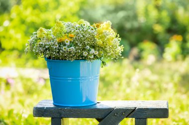 kır çiçekleri ile kova