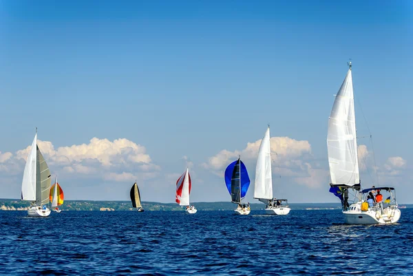 Regatta in Ukraine — Stock Photo, Image