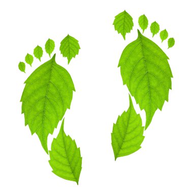 Eco footprint concept