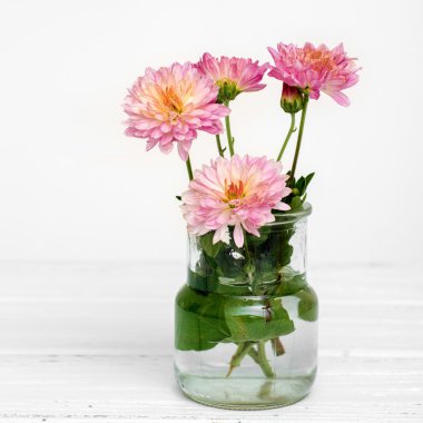 Pembe sonbahar çiçekler