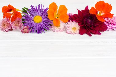 Taze sonbahar çiçekler