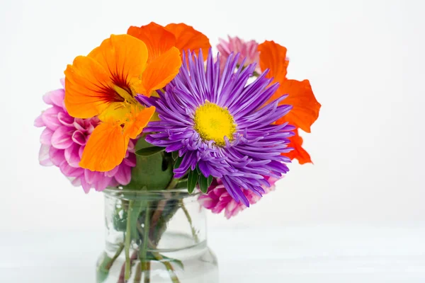 다채로운가 꽃 — 스톡 사진