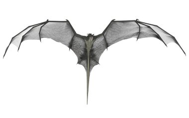 Bir fantezi ejderhanın 3 boyutlu canlandırması