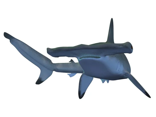 Трехмерное Изображение Акулы Молота — стоковое фото