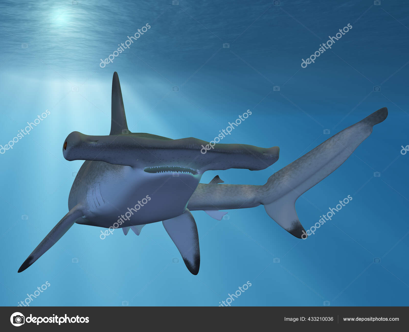 Renderização Tubarão Martelo — Stock Photo © Digitalstudio ...