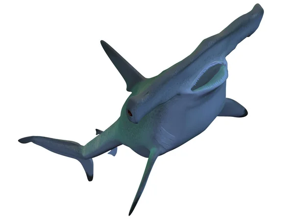 Трехмерное Изображение Акулы Молота — стоковое фото