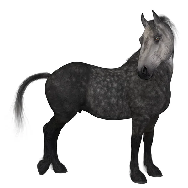 Визуализация Percheron Породы Призывной Лошади — стоковое фото