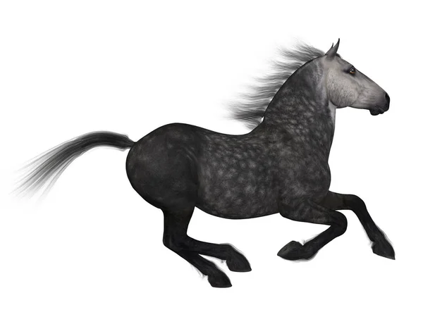 Renderowanie Percheron Rasa Konia Przeciąg — Zdjęcie stockowe