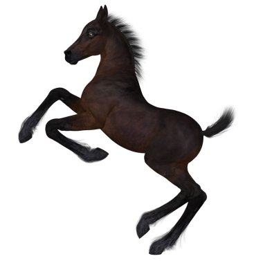 Genç bir tayın 3D görüntüsü