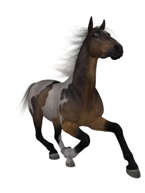 Güzel bir Mustang 'in 3D görüntüsü