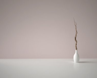 Pembe bir arka plan üzerinde beyaz vazoda dekoratif kuru dalları