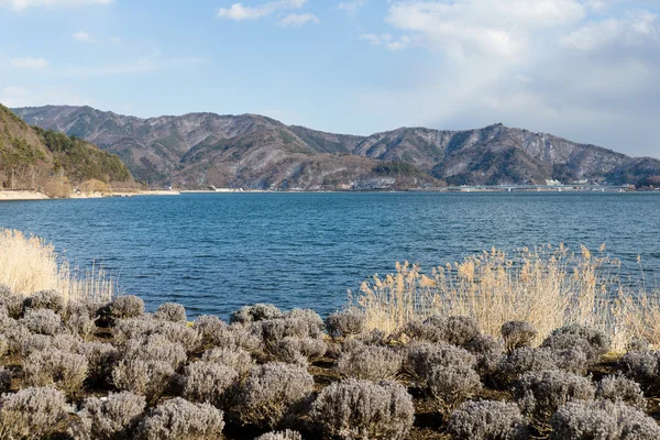 Lake kawaguchi i japan — Stockfoto