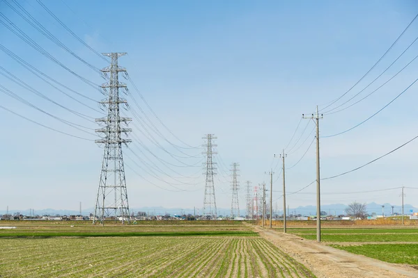 High voltage towers and transmission lines — Stock Photo, Image