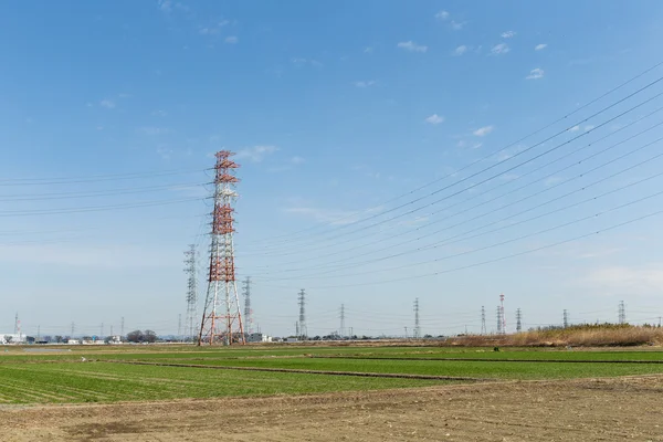 Torres de alta tensión y líneas de transmisión — Foto de Stock