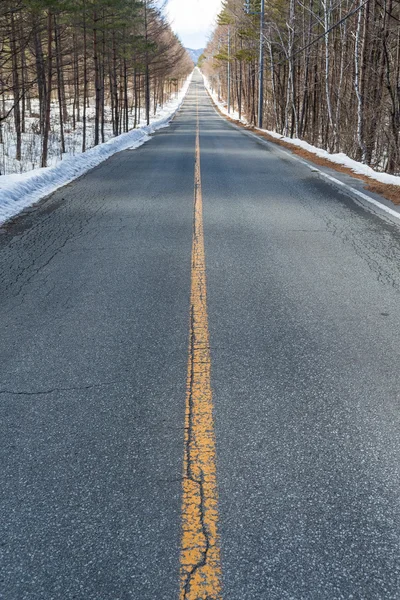 Cesta podél zimní Les — Stock fotografie