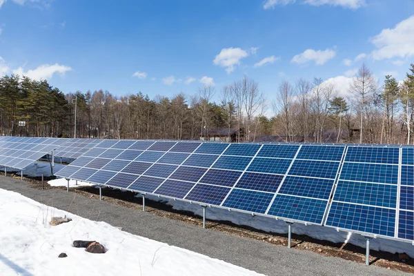Moderne Sonnenkollektoren Für Die Erzeugung Erneuerbarer Elektrischer Energie — Stockfoto
