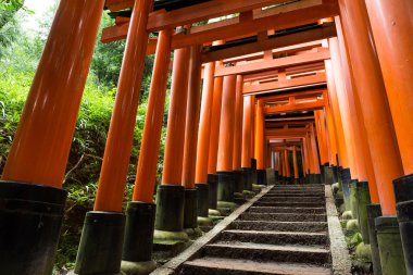 Fushimi Inari tapınak Kyoto