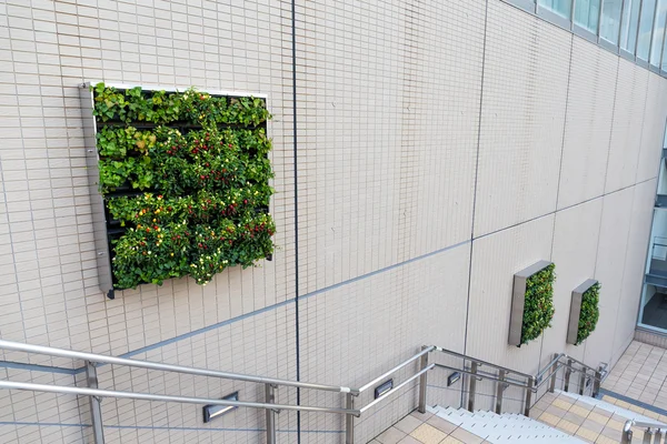 Trap in moderne zakelijke gebouw — Stockfoto