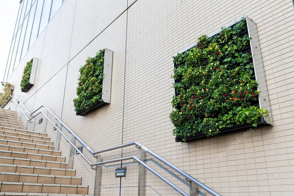 Potted plant on wall for decoration