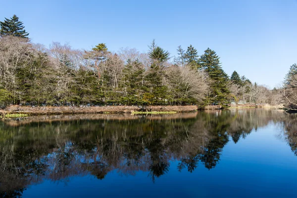 Bellissimo lago d'acqua in inverno — Foto Stock