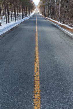 yol boyunca kış orman