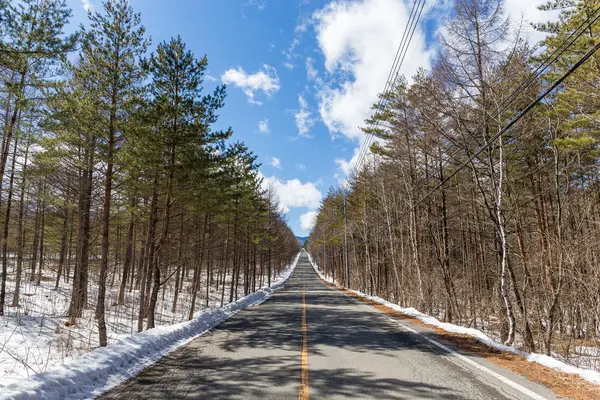 Lege Asfaltweg Langs Winter Forest — Stockfoto