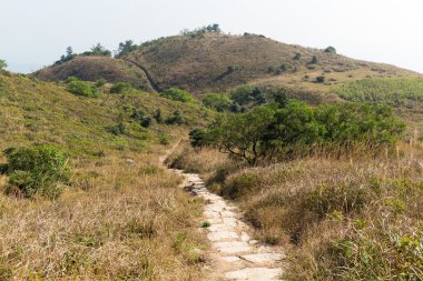 Dağ orman ülkede yol  