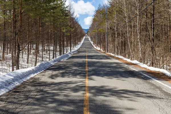 road along winter forest